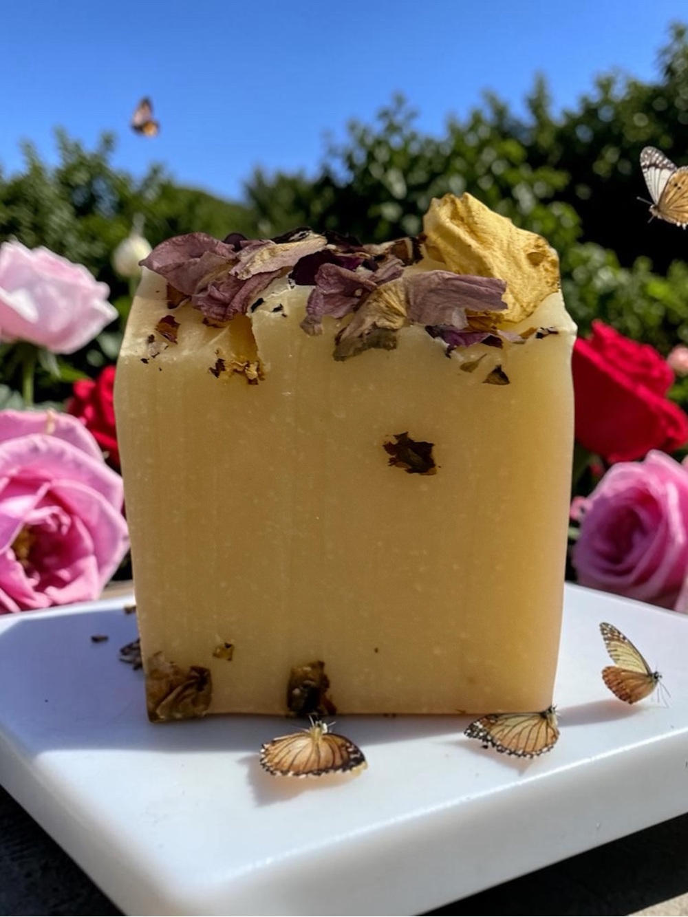 Tallow & Rice Oil Specialty Soap Body Mind Soul Skin Nutrition Orchid & Vine